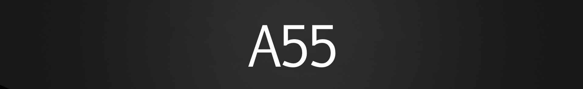 Samsung A55