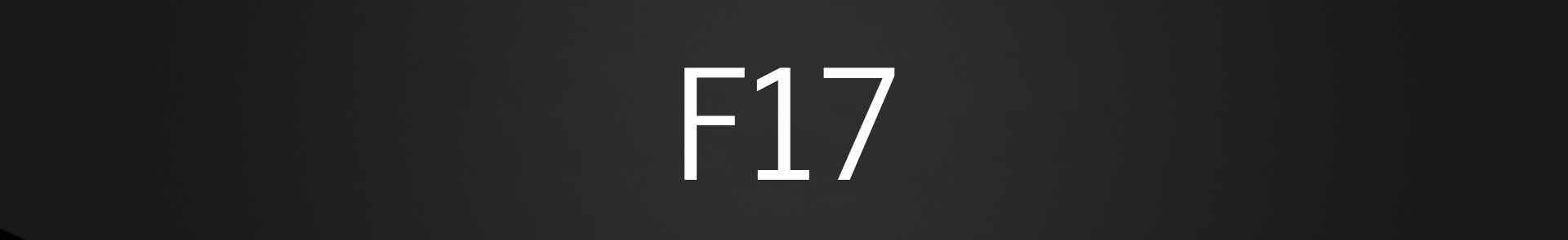 Samsung F17