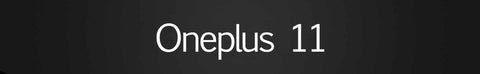Oneplus 11