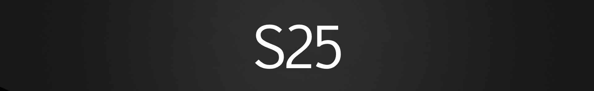 Samsung s25