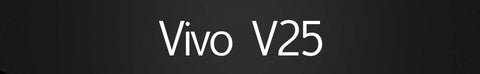 Vivo v25