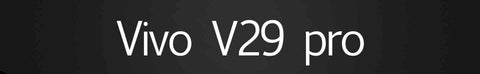 Vivo v29 pro