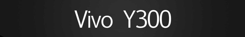 Vivo Y300